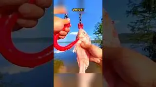 B&uuml;y&uuml;k Balık B&ouml;yle Yakalanır! 🐠