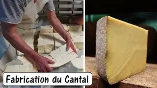 Les Secrets de fabrication du Cantal AOP !