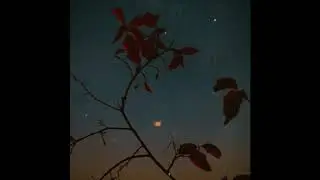 🌙free// cantina / slow R&B x mac miller (spacey guitar) type beat