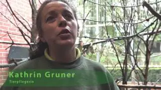 Tierpark TV - Teil 2/2