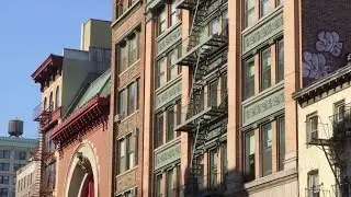 Why Noho
