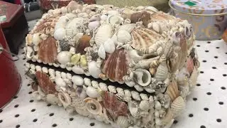 real natural SEASHELL jewelry trinket gift box