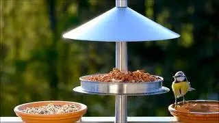 Meditation With Bird Footages -  Relaxing Music -  Episode 2