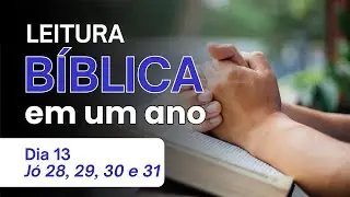 Leitura Bíblica em 1 Ano - Dia 13 Jó 28, 29, 30 e 31 - A Busca pela Sabedoria e a Defesa Final