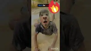 haate haste pet fhat jayega #shorts #funny #commedy