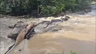 Chácara com Cachoeira na Porta | Casa Completa, Rio Perene e Potencial Turístico em Crixás-GO