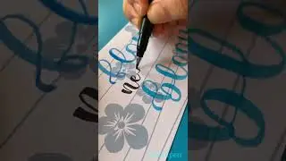 Flowers need time to Bloom🌸#calligraphywithbrushpen #creativeshorts #handlettering #brushlettering