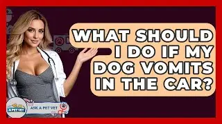 What Should I Do If My Dog Vomits In The Car? - Ask A Pet Vet