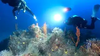 Il meraviglioso fondale di Santa Caterina