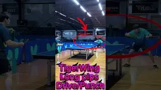 TigerWing long pips Drive/Punch practicesEli Ho - training with Jack Chen on 23/10/2025 #eliho