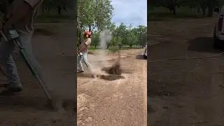 How to blow up a squirrel hole