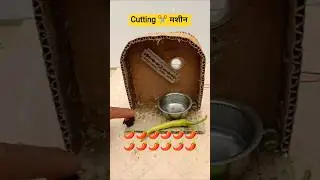 Home made vegetable cutting ✂️ machine &bull;new projects at my home.