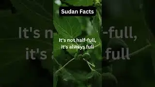 Fueling Your Foodie Soul: Dive into Sudanese Ful! #geography #arab #didyouknow #sudan #food