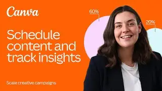 Schedule your content and track insights