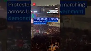 Iran Protests: Khamenei Regime Crackdown Leaves 300+ Dead; Reza Pahlavi Rallies Iranians