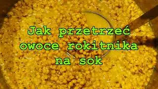 Jak przetrzeć owoce rokitnika na sok.