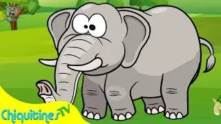 El Elefante Camina hacia Adelante - Canción Infantil