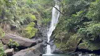 Netravali Wild Life Sanctuary#Savri Waterfall #Goa #Must Visit