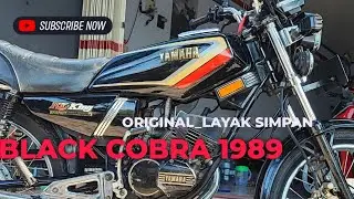 ORIGINAL  BLACK! X KING COBRA 1989, UNIT STANDAR OAYAK KOLEKSI #rxking #kingcobra