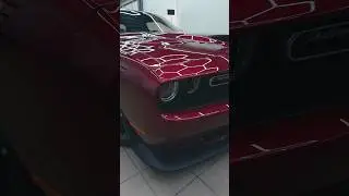 Dodge Challenger в нашем техцентре #вдсервис #автосервис #vdservice #техцентр #то #детейлинг