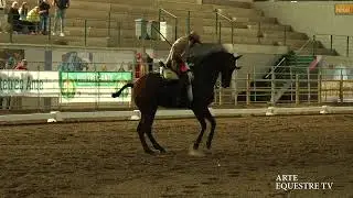 ARTE EQUESTRE TV - VENTURA SUAREZ FERNANDEZ