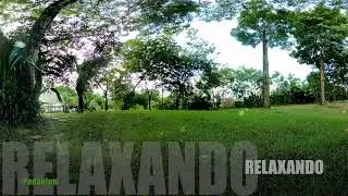 Relaxando -  Pendulum