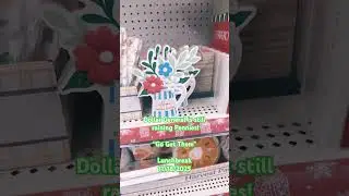&ldquo;Dollar General&rdquo; &mdash; #penny #savemoney #sale #haul #gift #tiger #pennyshopping #dollar general #save