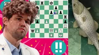 Perfect chess game, Magnus Carlsen vs Stockfish