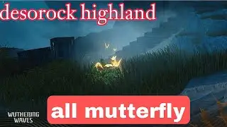 all Mutterfly desorock highland Wuthering Waves