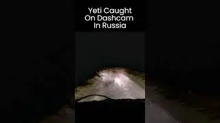 Yeti Caught On Dashcam in Russia Crossing Snow Covered Country Road #Shorts #Yeti #Bigfoot