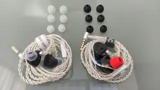 TRN MT3 vs MT4 - Una decisión difícil pero contundente