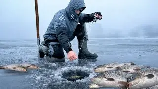 ТУТ КЛЮЮТ КАРАСИ КАК САЗАНЫ! ЖОР КРУПНОЙ РЫБЫ В ОТТЕПЕЛЬ! Зимняя рыбалка 2026