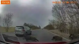 TOYOTA Safety Sense