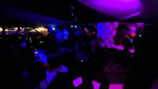 Gallo rojo- introleon santillan