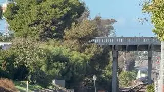 Test Video