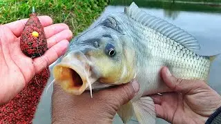 PESCUIT LA METHOD FEEDER CU PELETE DE 2MM SI POP-UP DE 8 SI 10MM