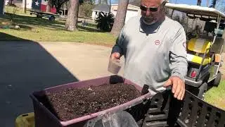Small sunny patch gardening: Adding an Earthbox to the hive.
