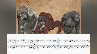 [Transcription] Too Many Zooz - Tricerahops