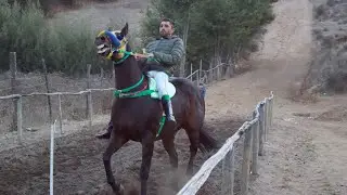 Matador vs Pancora