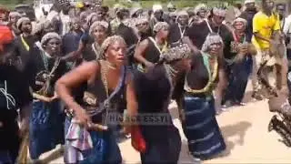 orchestre diola thionck essyl, regarder le spectacle