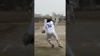5 Runs🎁 #cricket #highball #hardball #hardballbatting #hardballcricket #hardballmatch