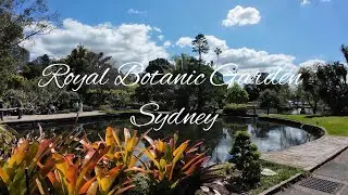 Come with me to the Royal Botanic Garden Sydney #royalbotanicgarden #cbd #sydney #travel #outdoors 