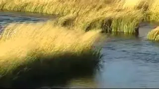 Altai Kai. Jерим (Моя земля). Traditional Siberian music