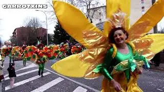 Olot Rua de Carnaval 25-02-2023