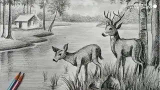 how to draw deer with pencil sketch scenery,how to draw forest scenery,step by step,animals drawing