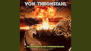 Mit Leoparden In Den Sonnenuntergang