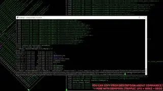 xmrigCC Triple Mining with UPX + WRKZ + DEGO