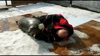 Колыбельная для ларги