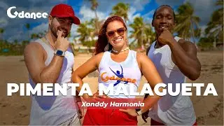 PIMENTA MALAGUETA - XANDDY HARMONIA - Gdance