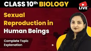 Sexual Reproduction in Human Beings - Class 10 Biology Chapter 8 (Explanation)